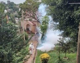 En Oberá se continua trabajando en la lucha contra el Dengue