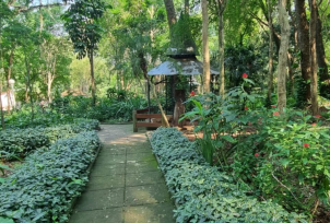 OBERÁ: Reabrió el Jardín de los Pájaros, con mejoras una nueva perspectiva para el turismo y visitantes locales