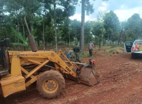 Guardabosques sorprendieron a un grupo de personas talando monte nativo en Oberá