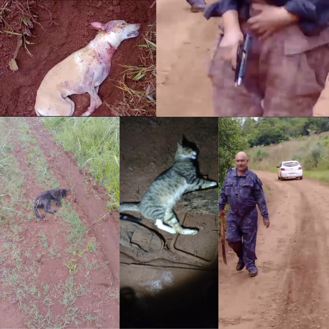 AGRESIÓN BRUTAL, TENTATIVA DE HOMICIDIO Y CRUELDAD ANIMAL EN CAMPO RAMÓN