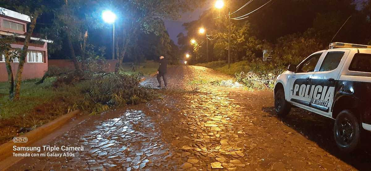 Actualización del plan de acción ante el temporal