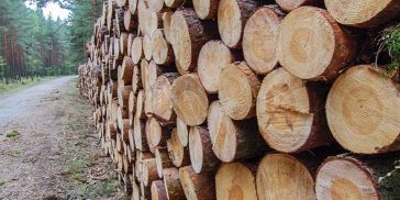 Hay nuevos precios para la materia prima forestal de Misiones