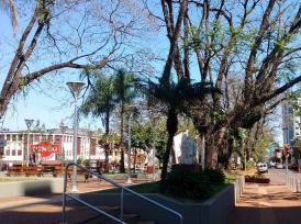 Miércoles con lluvias en Misiones, en Oberá el clima se mantiene estable