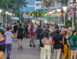 Exitosa jornada en la peatonal cultural Obereña