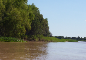 Hallaron sin vida a un adolescente de 16 años brasileño en el Río Paraná