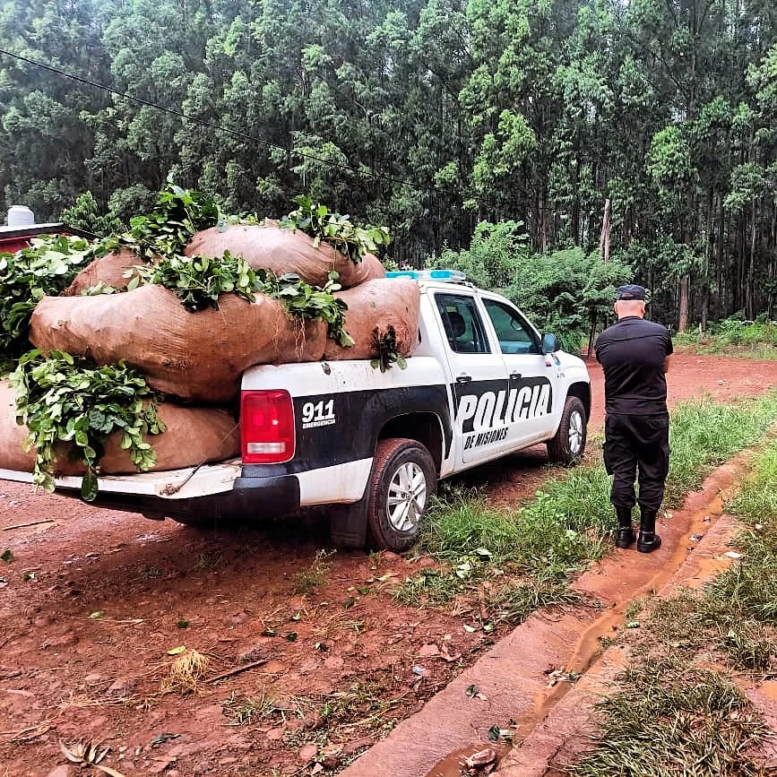 La policía recuperó a «motoneta» y evitó el robo de una tonelada de yerba