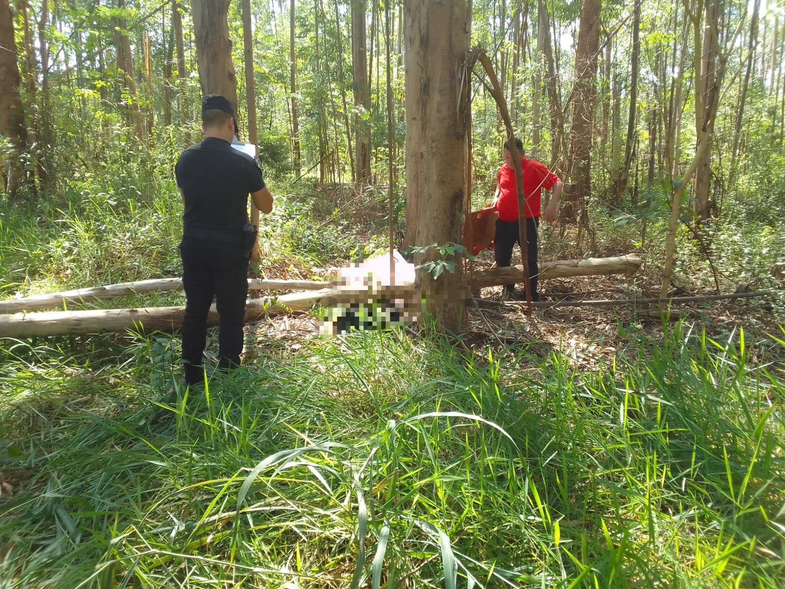Falleció un hombre tras ser aplastado por un árbol en Wanda