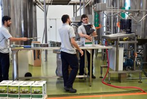 El Insecticida BTI una herramienta para el control biológico del dengue