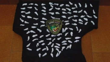 Secuestraron 120 dosis de “Pedra” tras un operativo en Eldorado