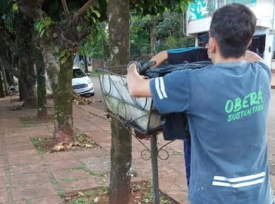 ¿Cómo separo la basura en casa? Datos para que las bolsas de residuos sean más seguras