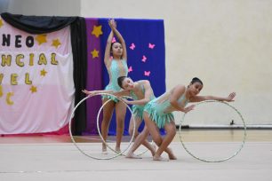 Más de ochenta gimnastas participaron del provincial realizado en Oberá