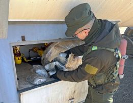 Camiones cisterna de bandera extranjera ocultaban marihuana