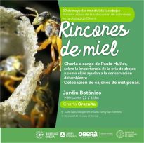 Celebración del Día Mundial de la Abeja con actividades en el Jardín Botánico de Oberá