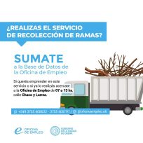 Convocatoria para recolectores de ramas en Oberá, los interesados dirigirse a la oficina de empleo
