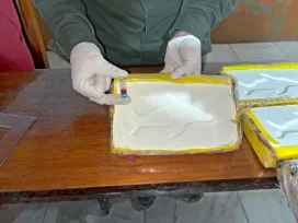 Gendarmería secuestró más de 21 kilos de cocaína en Posadas