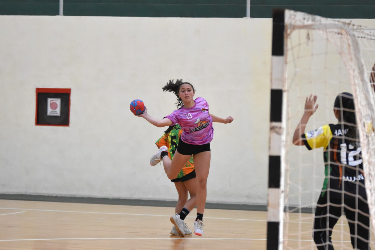 AEMO Handball con jugadores en las preselecciones de Argentina y Misiones