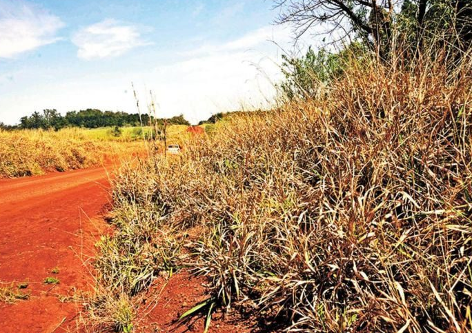 Llega el fenómeno “La Niña” puede volver a afectar a Misiones y provocar una sequía