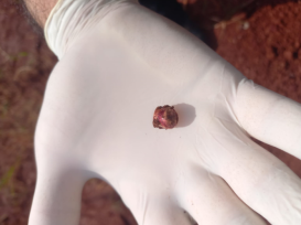 El hombre hallado sin vida en la banquina de la Ruta Nacional 14 de San Pedro habría sido atacado a tiros