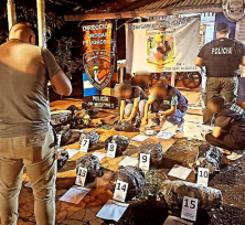 Agentes encubiertos evitaron la distribución de más de 30 kilos de marihuana en Posadas