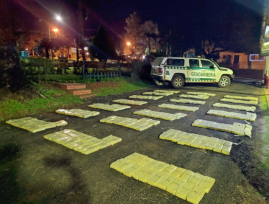 Secuestraron más de 500 kilos de marihuana que se encontraba acopiada en el monte