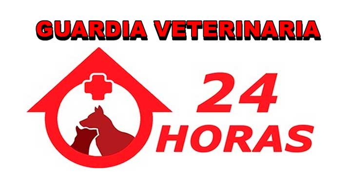 Proponen la Creación del Servicio de Guardia Veterinaria en Oberá