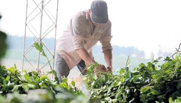 Productores llevarán sus reclamos ante el Gobierno nacional en Buenos Aires