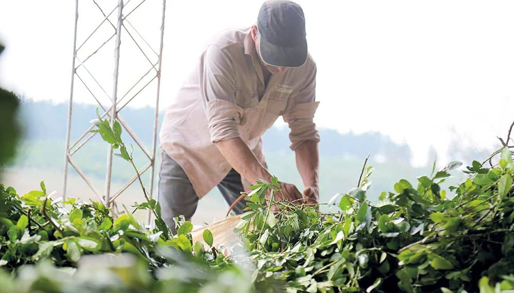 Productores llevarán sus reclamos ante el Gobierno nacional en Buenos Aires