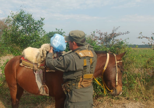 Dos menores fueron detenidos cuando trasportaban casi dos kilos de marihuana a caballo