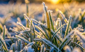 Jornada helada en Oberá, lluvia y lloviznas se esperan durante el día