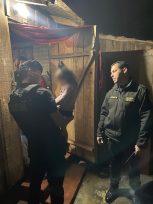 Tras amplias tareas de rastrillaje, la Policía halló a una menor de tres años extraviada en Oberá