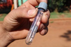 Tras resultado LIRAa, es necesario continuar con la prevención y control del mosquito Aedes aegypti