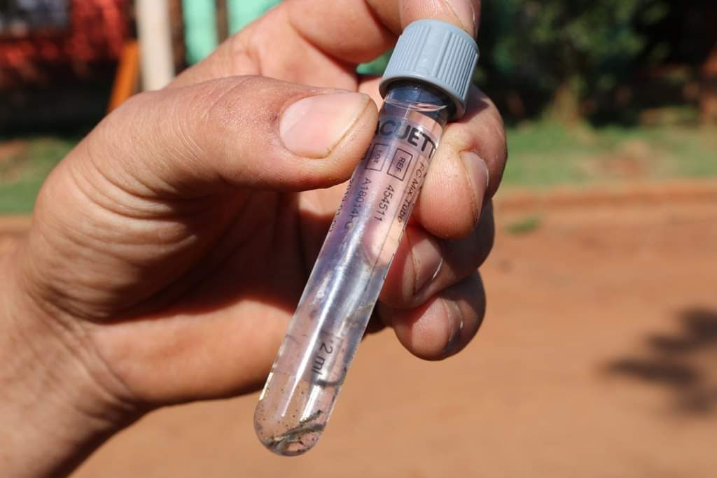 Tras resultado LIRAa, es necesario continuar con la prevención y control del mosquito Aedes aegypti