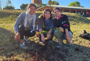 Plantamos Futuro en Oberá, Compromiso de instituciones educativas con el medio ambiente