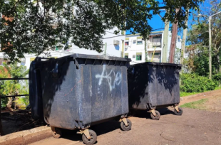 Conmoción en la Chacra 38 de Posadas, tras el hallazgo de un feto en un contenedor de basura