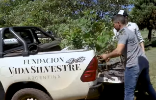 Misiones: Declaran de interés municipal el proyecto de restauración que lidera Vida Silvestre en San Pedro