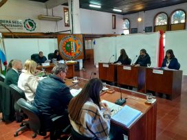 El Concejo Deliberante aprobó la adhesión a la Ley de Creación del Plan Federal de Capacitación sobre Derechos de Niñas, Niños y Adolescentes