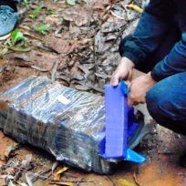 En Eldorado la Policía secuestró 56 ladrillos prensados