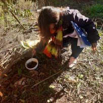 OBERÁ: Refuerzo para prevenir el dengue en barrio Norte
