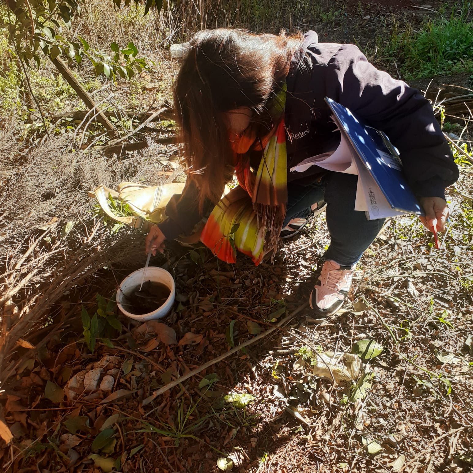 OBERÁ: Refuerzo para prevenir el dengue en barrio Norte