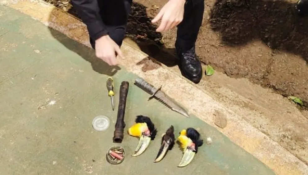 Exhibían por redes sociales las cabezas de tucanes que habían matado, fueron detenidos