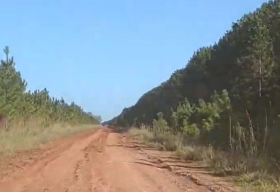 Una turista Italiana sufrió una agresión sexual en un sendero de los Esteros del Iberá