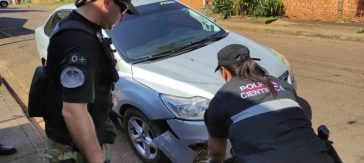 Fue hallado y detenido el responsable de chocar y matar a un puma en Puerto Iguazú