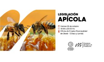 Charla informativa sobre “Legislación apícola de la Provincia de Misiones”