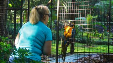 Fin de semana de paseos guiados por los Jardines de Oberá