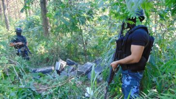 Casi de dos toneladas de marihuana escondidas en el monte fueron incautadas en un operativo policial en Colonia Mado