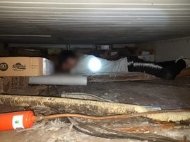 Insólito escondite de un ladrón: se metió en una cámara frigorífica y fue arrestado –  MIRA LAS FOTOS