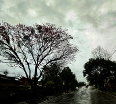 Cielo despejado con descenso de temperatura en Oberá, mejoras en el fin de semana