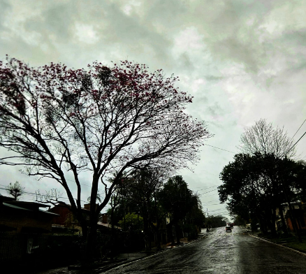Cielo despejado con descenso de temperatura en Oberá, mejoras en el fin de semana