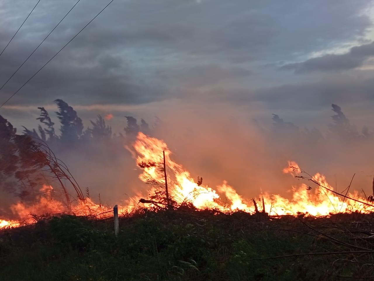 La policía trabajó para sofocar el incendio de restos de un pinal extraído en Mártires.