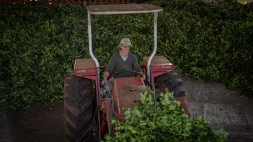 Se extendió hasta junio del 2025 el plazo para acceder a las líneas de créditos para financiamiento productivo